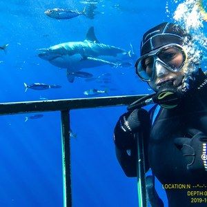 Meet your Posher, Stacy